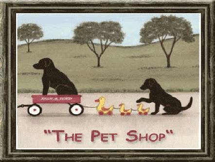 The Pet Shop