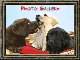 Thumbnail for Photo Gallery
