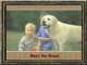 Thumbnail for Meet the Breed