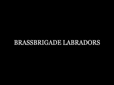 brassbrigade labs